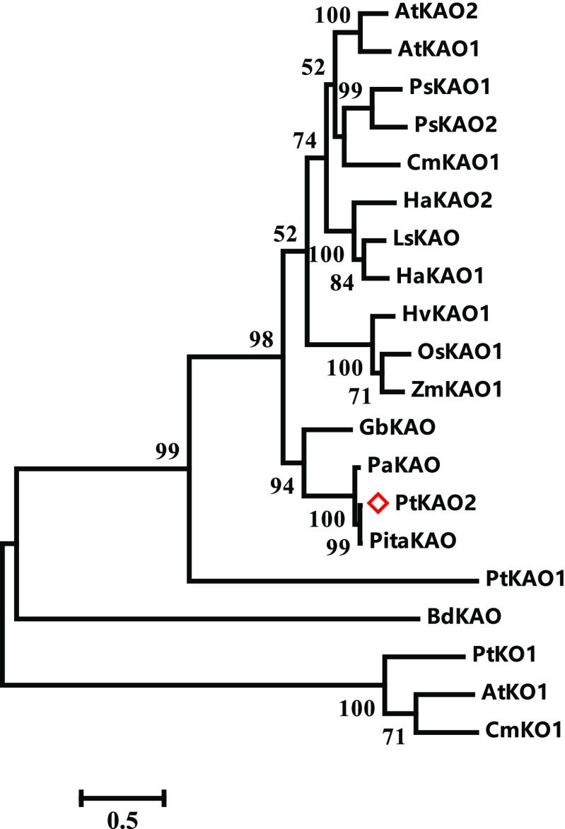 Figure 5.