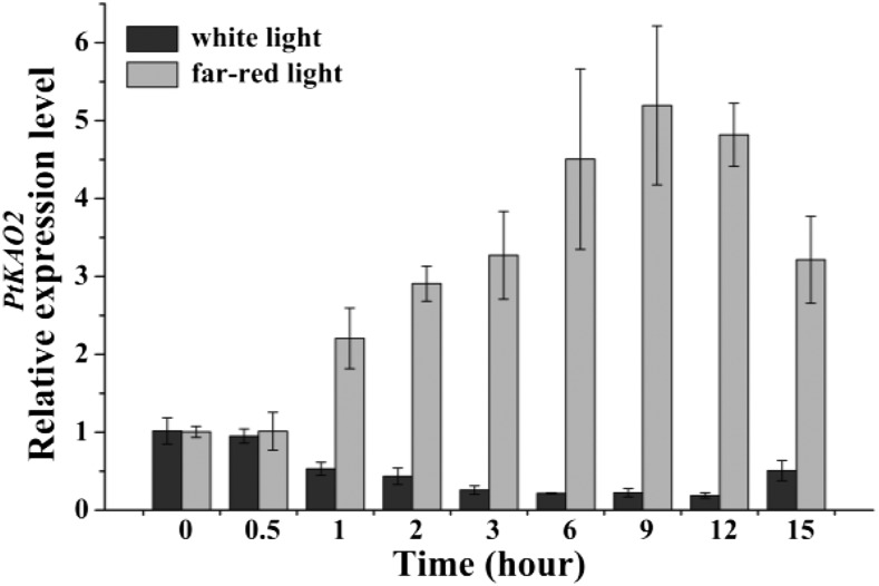 Figure 6.