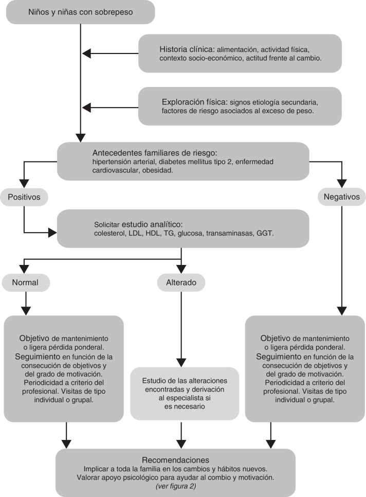 Figura 1