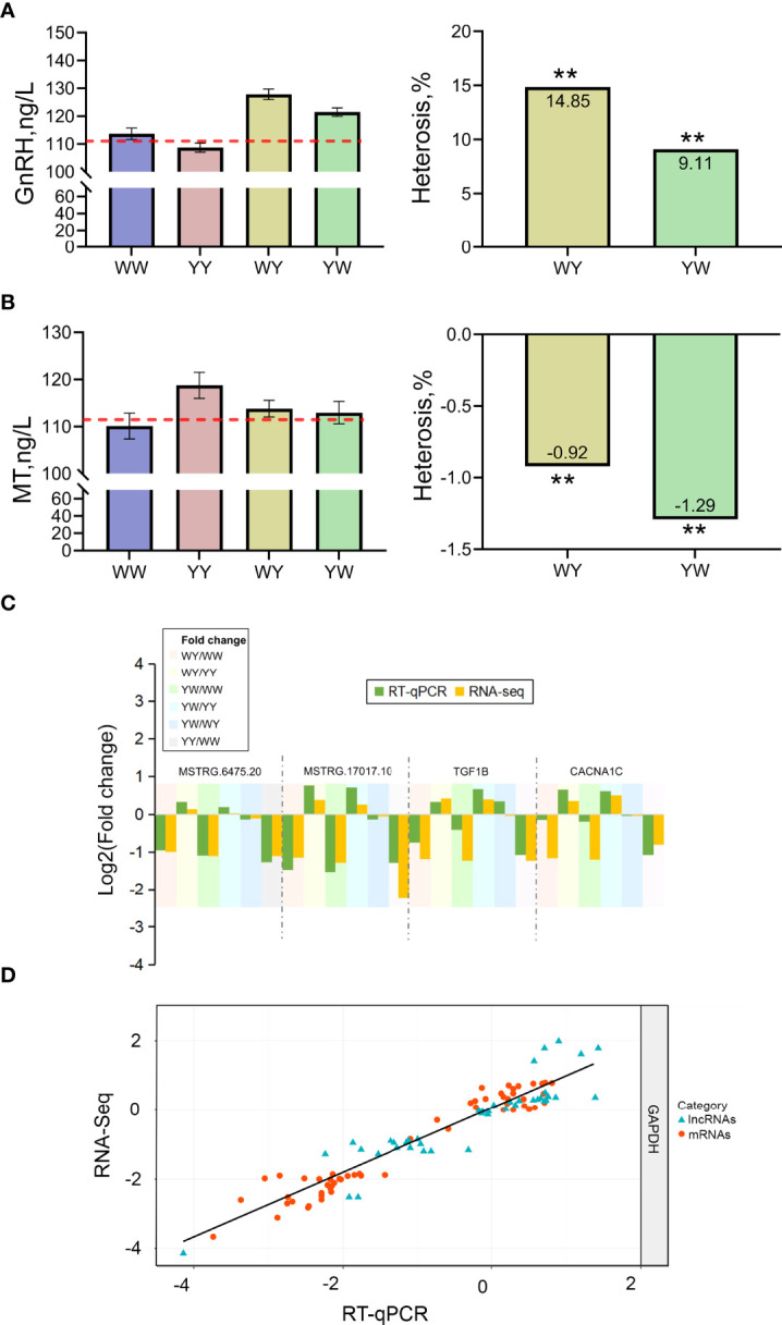 Figure 7