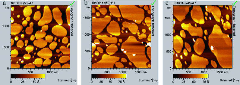 FIGURE 3