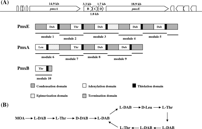 FIG. 1.