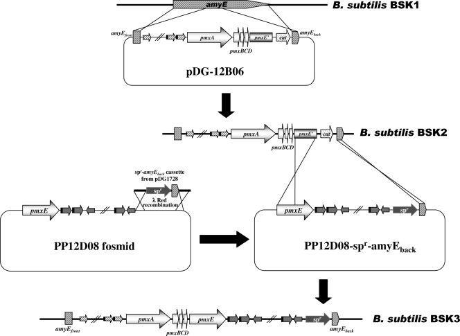 FIG. 3.