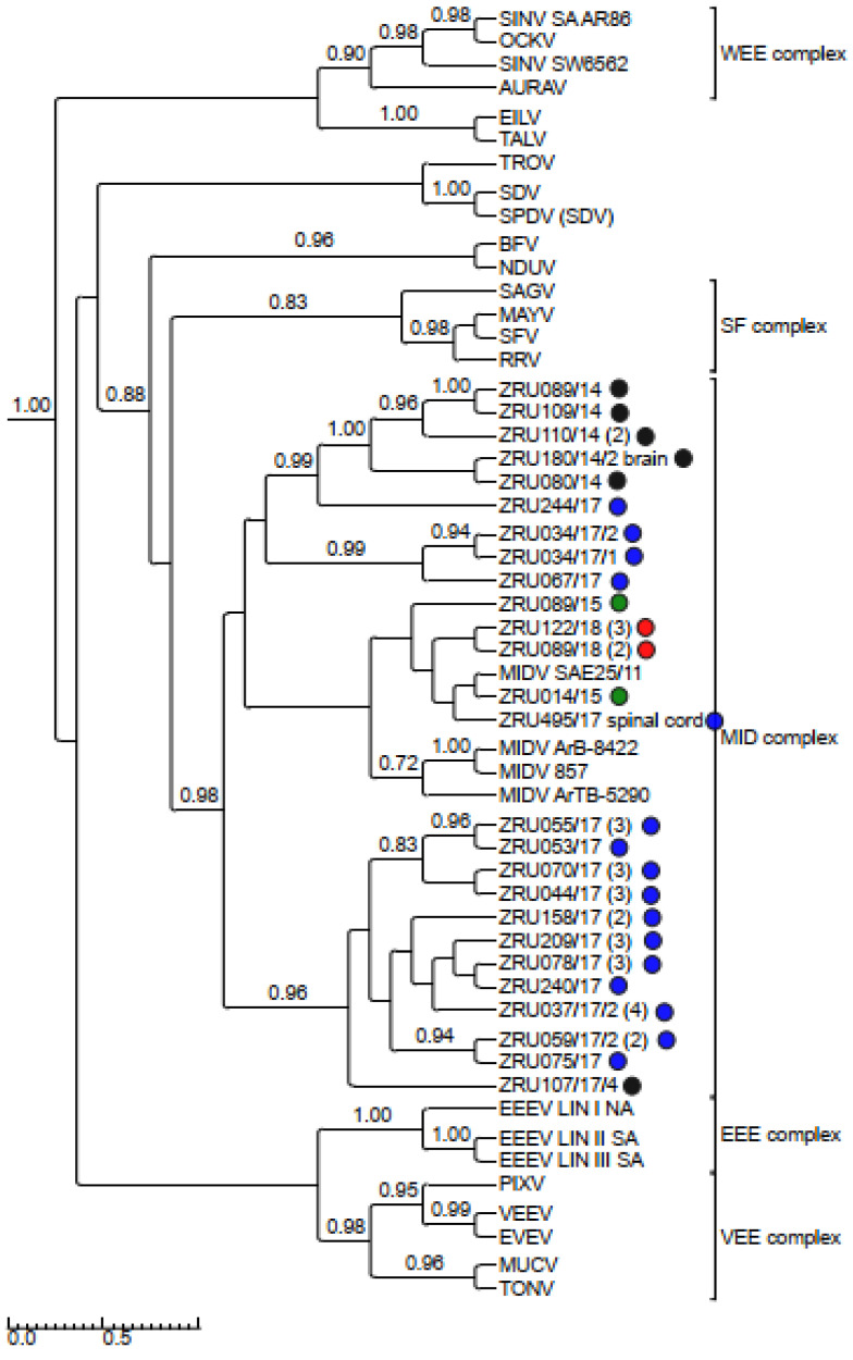 Figure 4