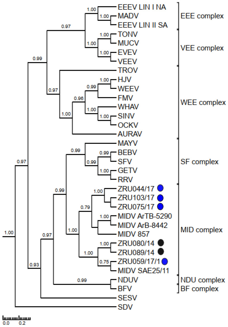 Figure 6