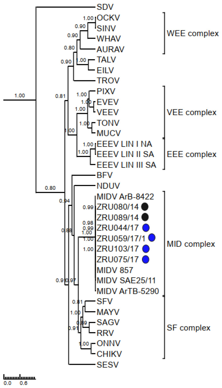 Figure 7