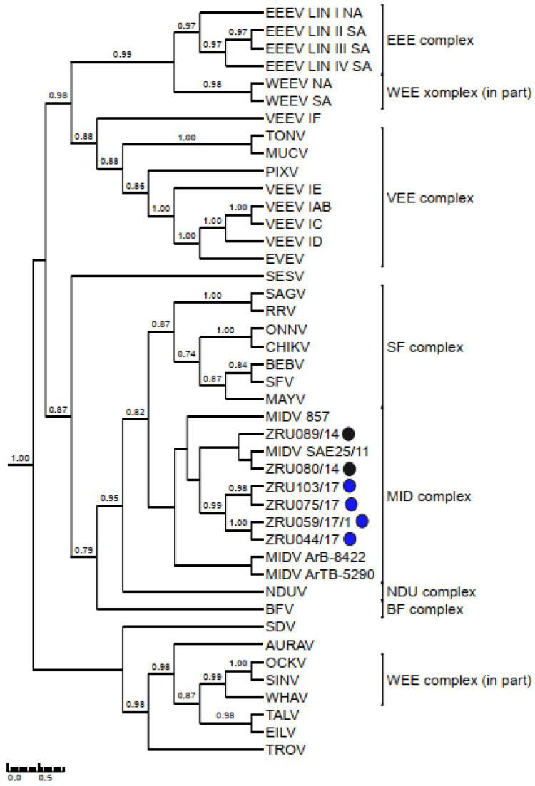 Figure 5