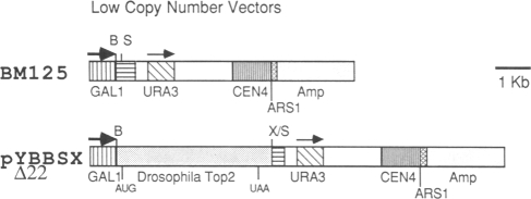 graphic file with name pnas00296-0054-b.jpg