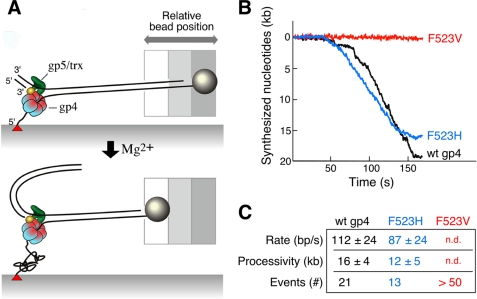 FIGURE 6.