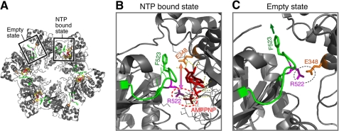 FIGURE 1.