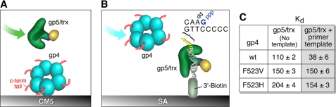 FIGURE 7.