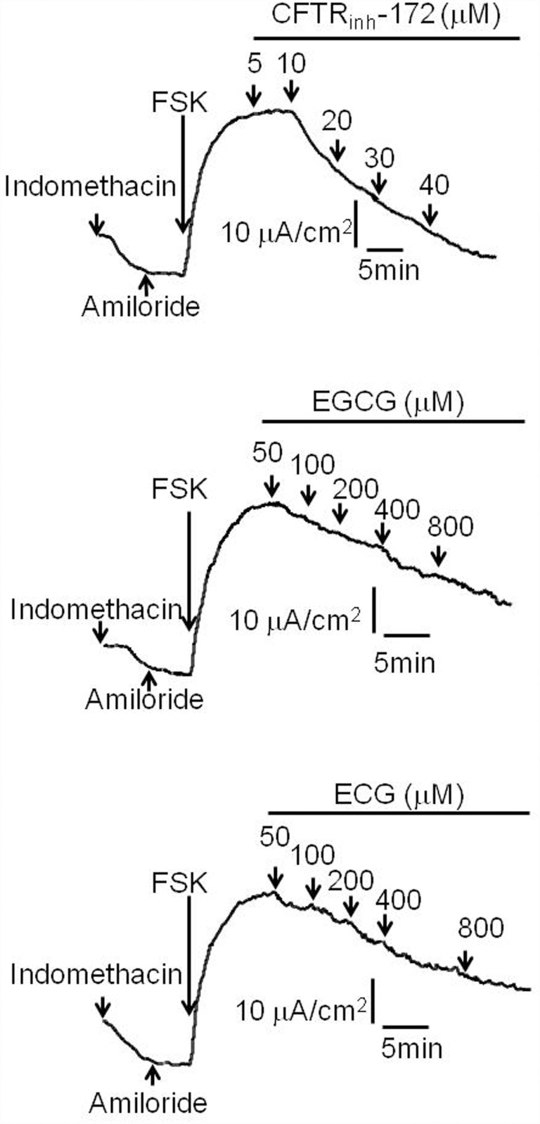 Fig 5