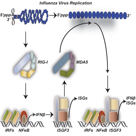 graphic file with name nihms695871f8.jpg