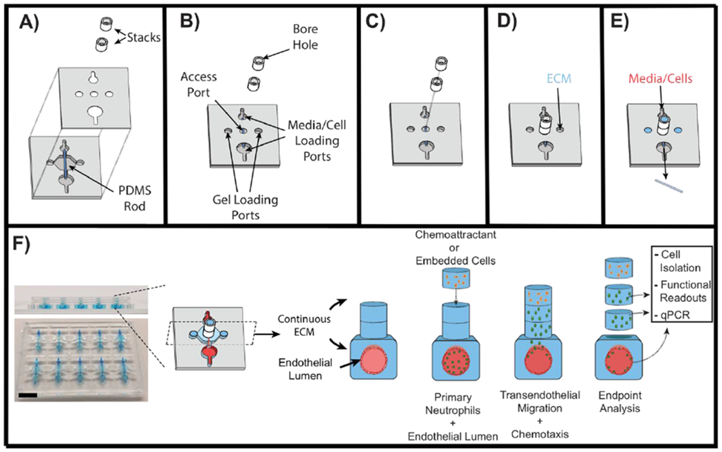 Fig 2: