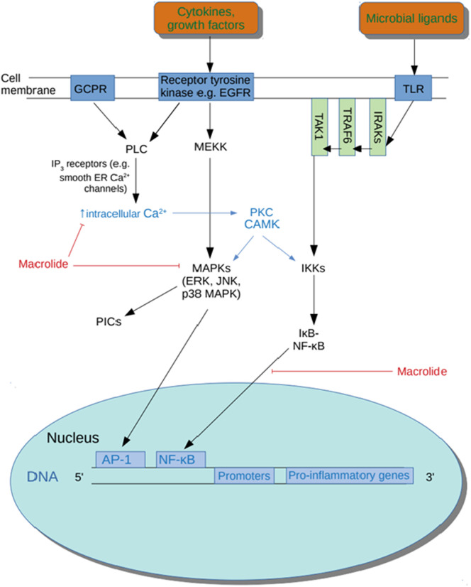 Fig. 1