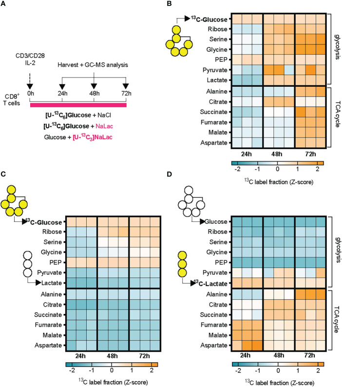 Figure 4