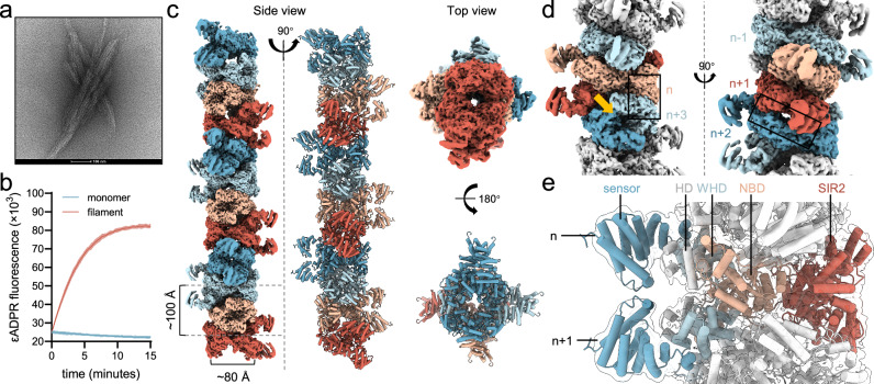 Fig. 2