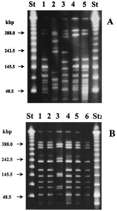 FIG. 1.