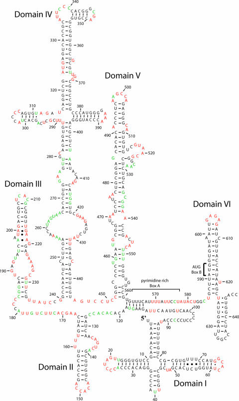 FIG. 8.