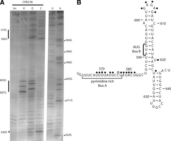 FIG. 7.