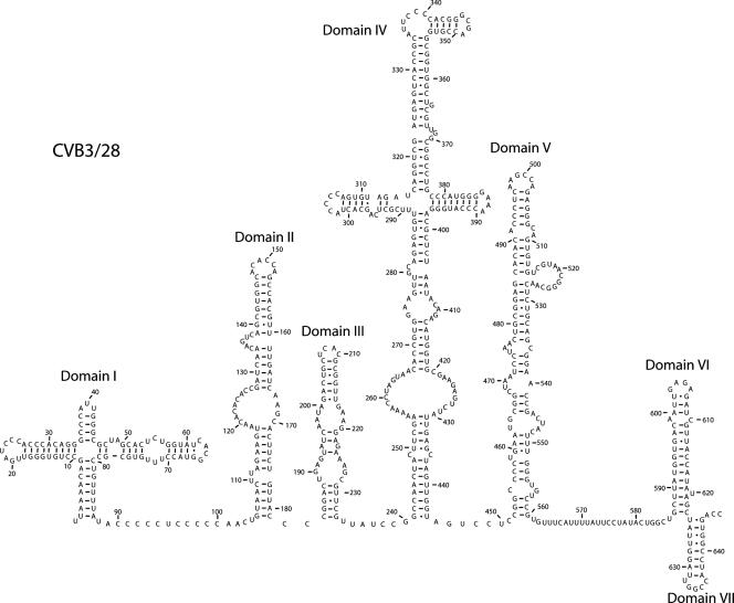 FIG. 1.