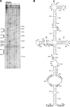 FIG. 5.