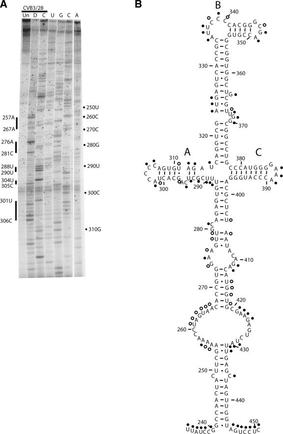 FIG. 5.