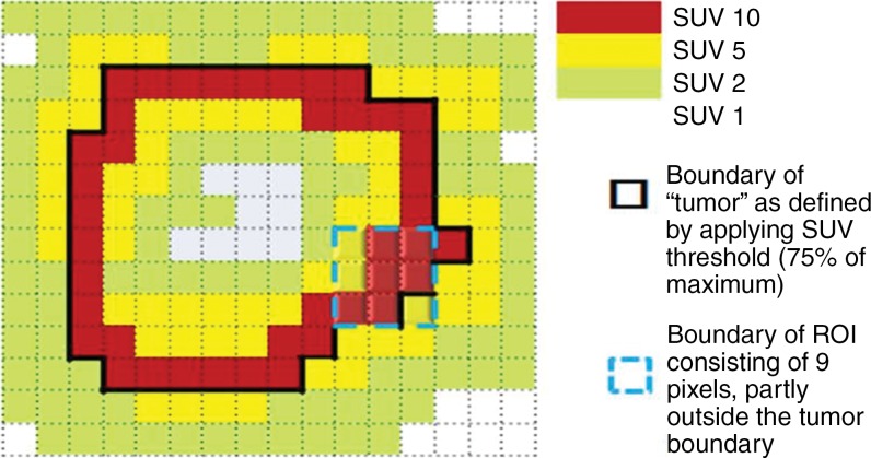 Figure 5b: