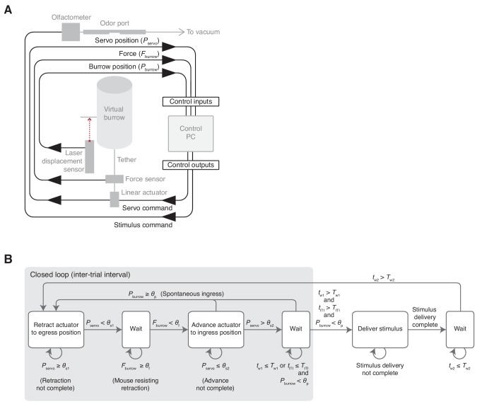 Figure 1—figure supplement 2.