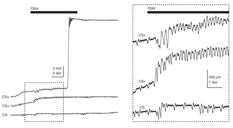 Figure 5—figure supplement 1.