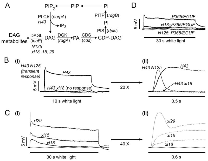 Fig. 8