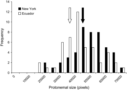 Figure 1.—