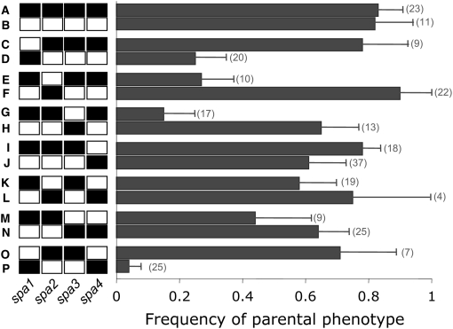 Figure 5.—