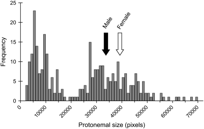 Figure 2.—