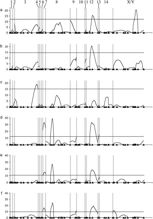 Figure 4.—