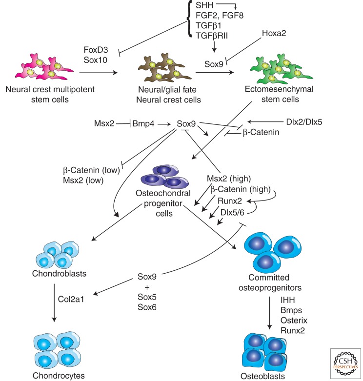 Figure 2.