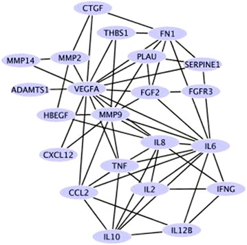 Fig. 2