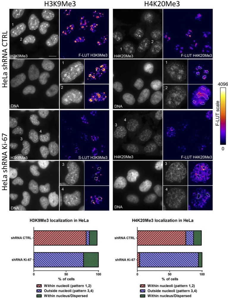 Figure 10—figure supplement 2.