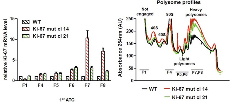 Figure 3—figure supplement 10.