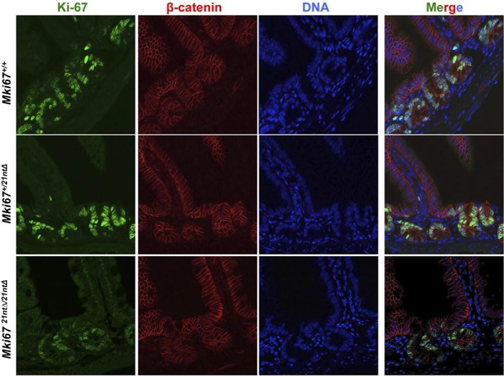 Figure 3—figure supplement 3.