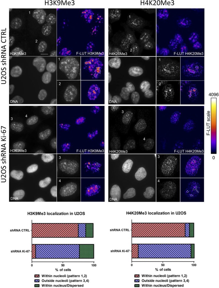 Figure 10—figure supplement 1.