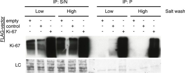 Figure 6—figure supplement 1.