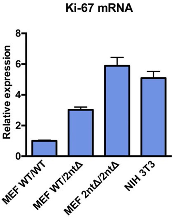 Figure 3—figure supplement 7.