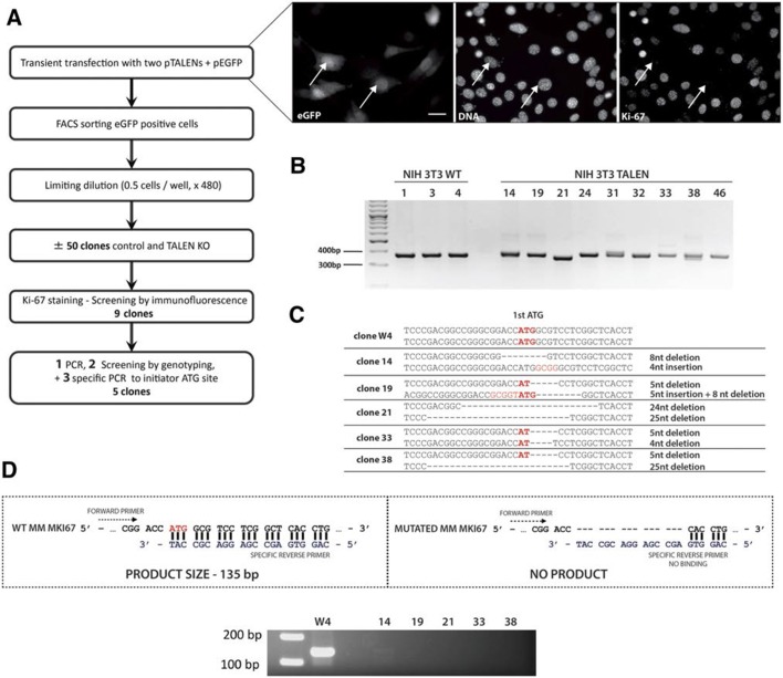 Figure 3—figure supplement 8.