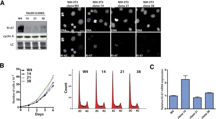 Figure 3—figure supplement 9.