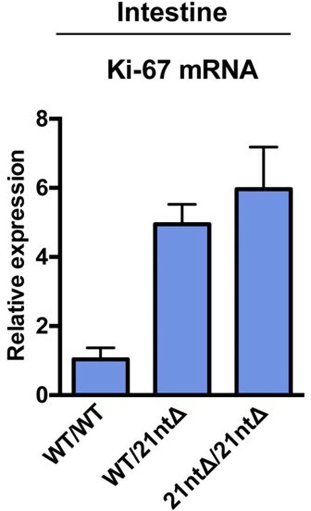 Figure 3—figure supplement 5.