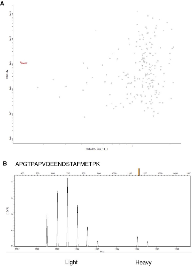 Figure 3—figure supplement 11.