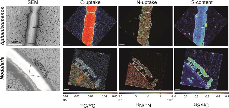 Fig. 4