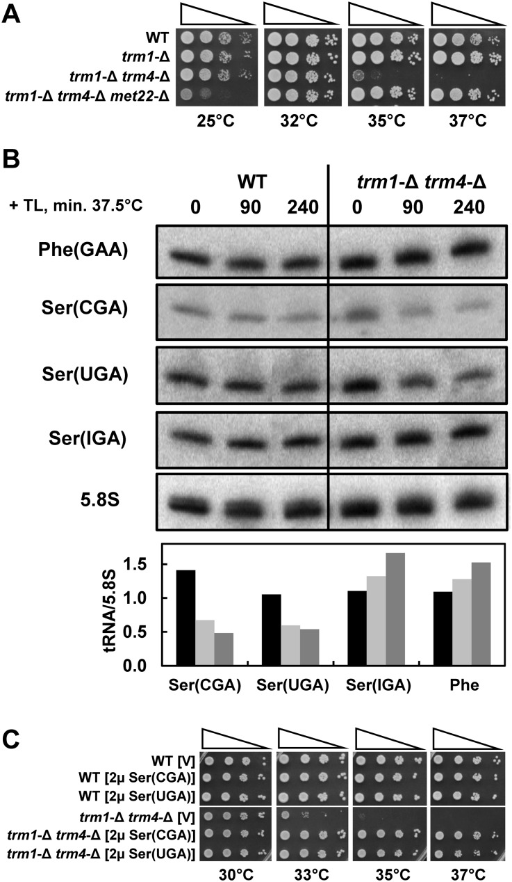 FIGURE 4.