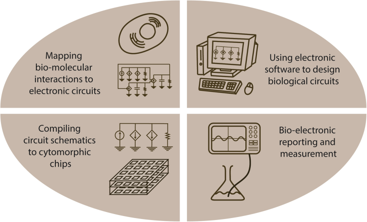 Figure 1